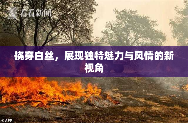 挠穿白丝，展现独特魅力与风情的新视角