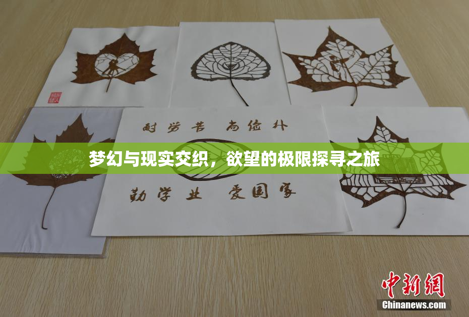 梦幻与现实交织，欲望的极限探寻之旅