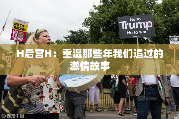 H后宫H：重温那些年我们追过的激情故事