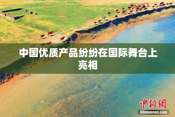 中国优质产品纷纷在国际舞台上亮相