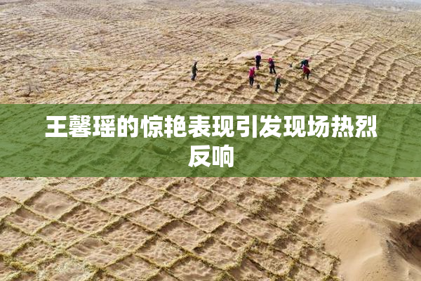 王馨瑶的惊艳表现引发现场热烈反响