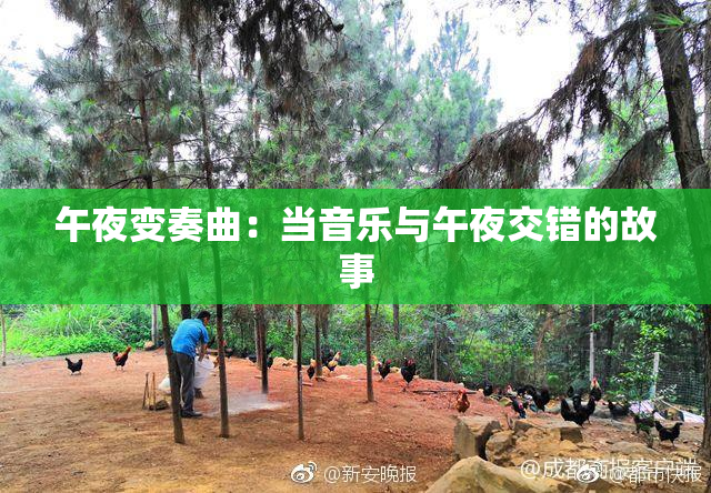 午夜变奏曲：当音乐与午夜交错的故事