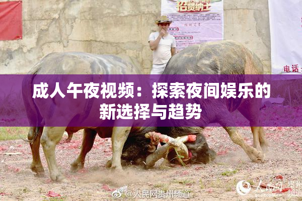 成人午夜视频：探索夜间娱乐的新选择与趋势