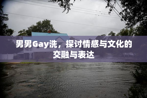 男男Gay洗，探讨情感与文化的交融与表达