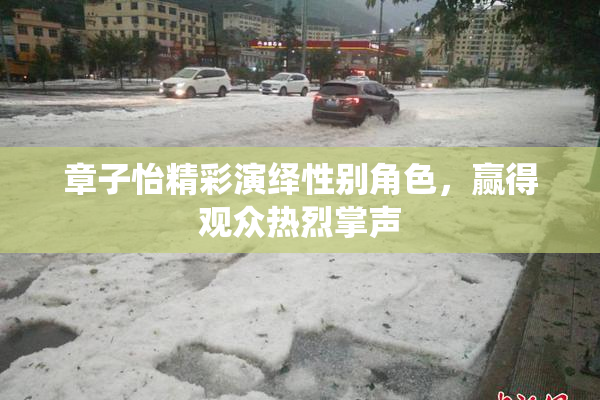 章子怡精彩演绎性别角色，赢得观众热烈掌声