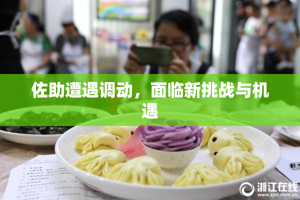 佐助遭遇调动，面临新挑战与机遇
