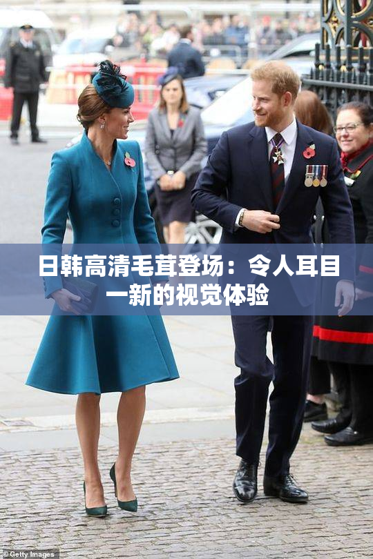 日韩高清毛茸登场：令人耳目一新的视觉体验