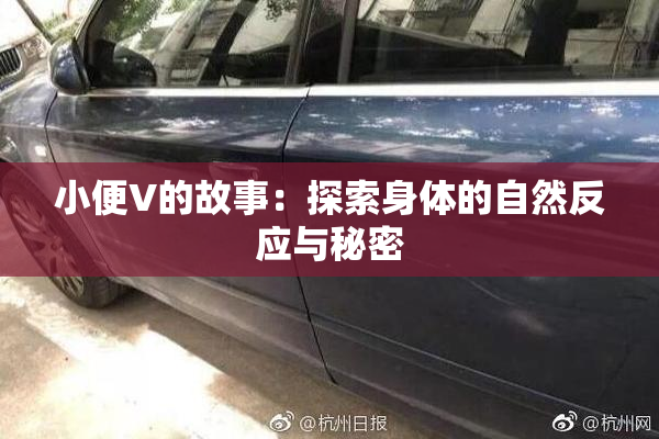 小便V的故事：探索身体的自然反应与秘密