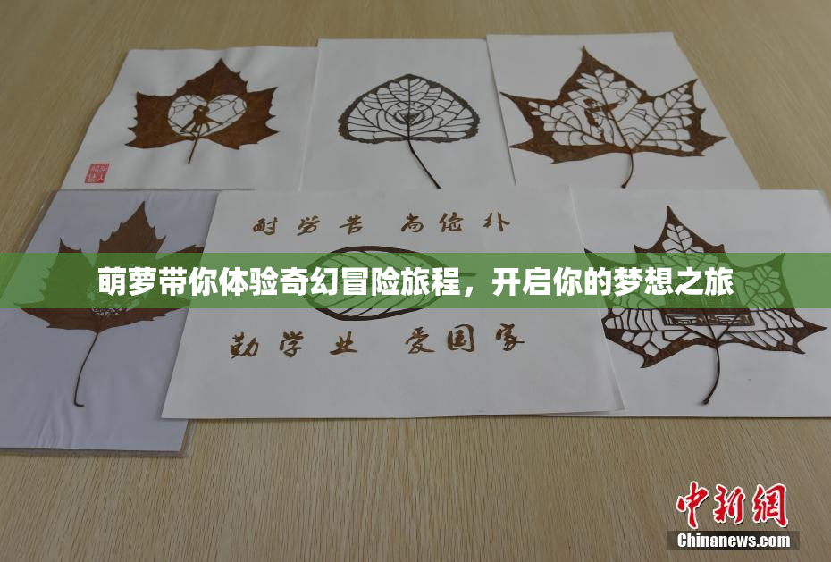 萌萝带你体验奇幻冒险旅程，开启你的梦想之旅