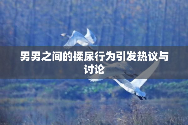 男男之间的揉尿行为引发热议与讨论