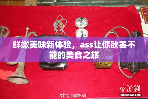 鲜嫩美味新体验，ass让你欲罢不能的美食之旅
