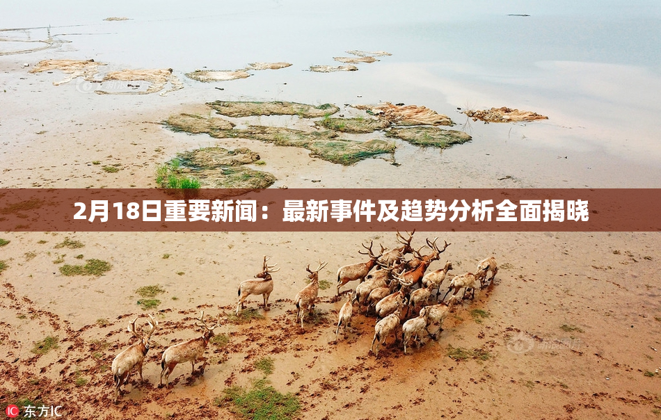 2月18日重要新闻：最新事件及趋势分析全面揭晓