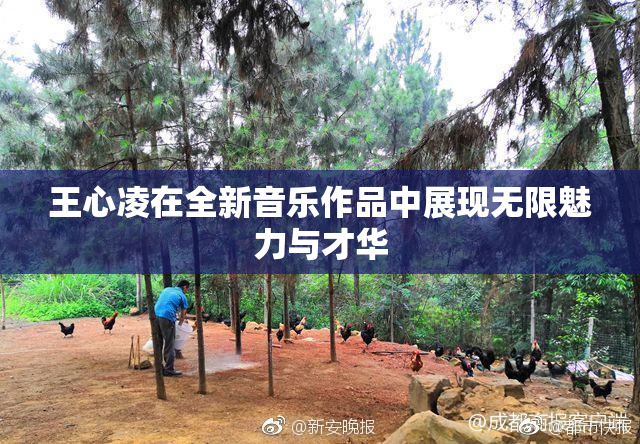王心凌在全新音乐作品中展现无限魅力与才华