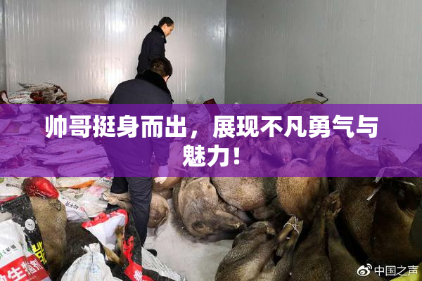 帅哥挺身而出，展现不凡勇气与魅力！