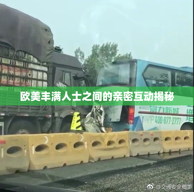 欧美丰满人士之间的亲密互动揭秘