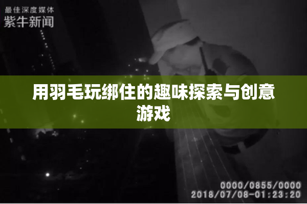 用羽毛玩绑住的趣味探索与创意游戏