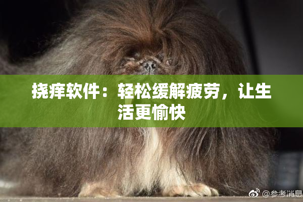 挠痒软件：轻松缓解疲劳，让生活更愉快