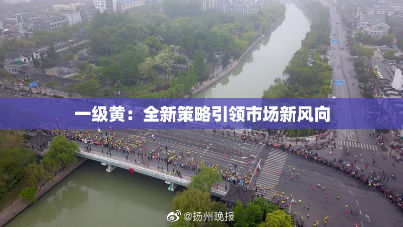 一级黄：全新策略引领市场新风向