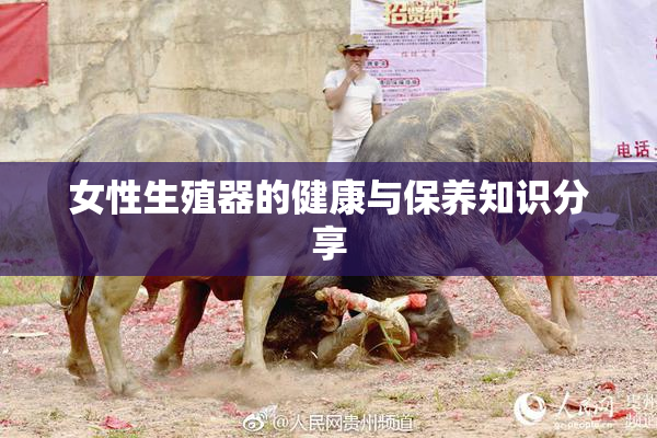 女性生殖器的健康与保养知识分享