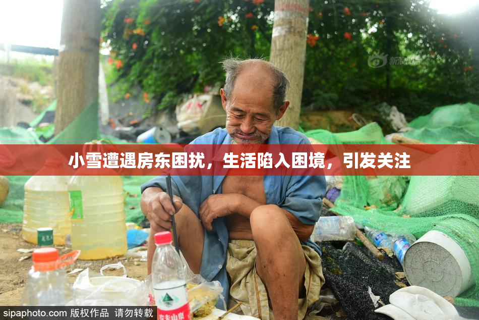 小雪遭遇房东困扰，生活陷入困境，引发关注