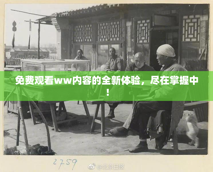 免费观看ww内容的全新体验，尽在掌握中！
