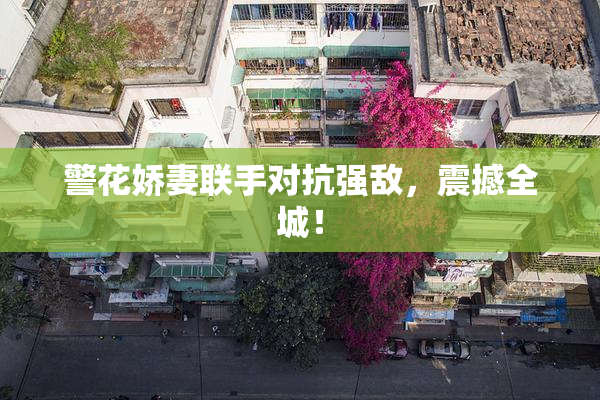 警花娇妻联手对抗强敌，震撼全城！