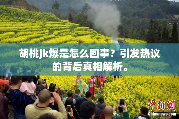 胡桃jk爆是怎么回事？引发热议的背后真相解析。