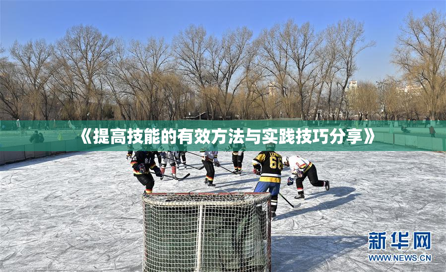 《提高技能的有效方法与实践技巧分享》