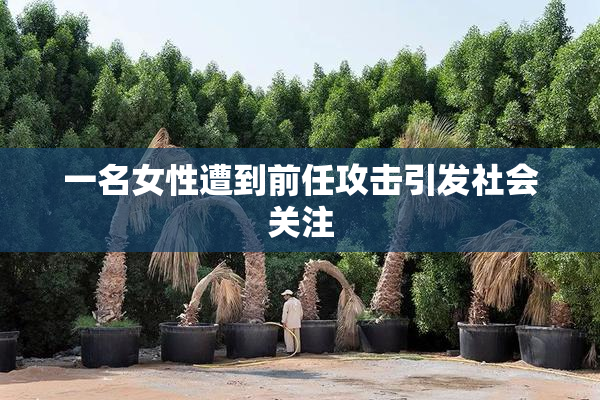 一名女性遭到前任攻击引发社会关注