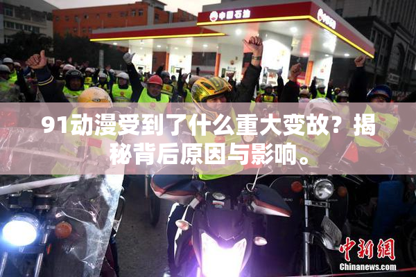91动漫受到了什么重大变故？揭秘背后原因与影响。