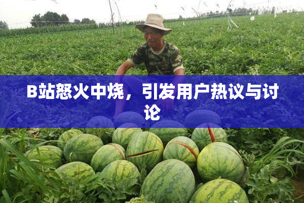 B站怒火中烧，引发用户热议与讨论