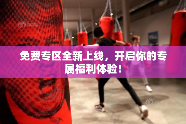 免费专区全新上线，开启你的专属福利体验！
