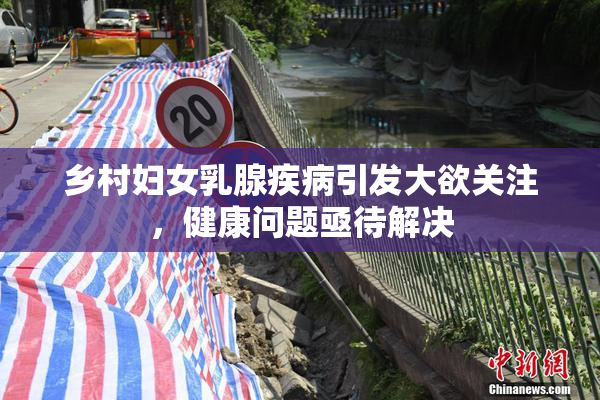 乡村妇女乳腺疾病引发大欲关注，健康问题亟待解决