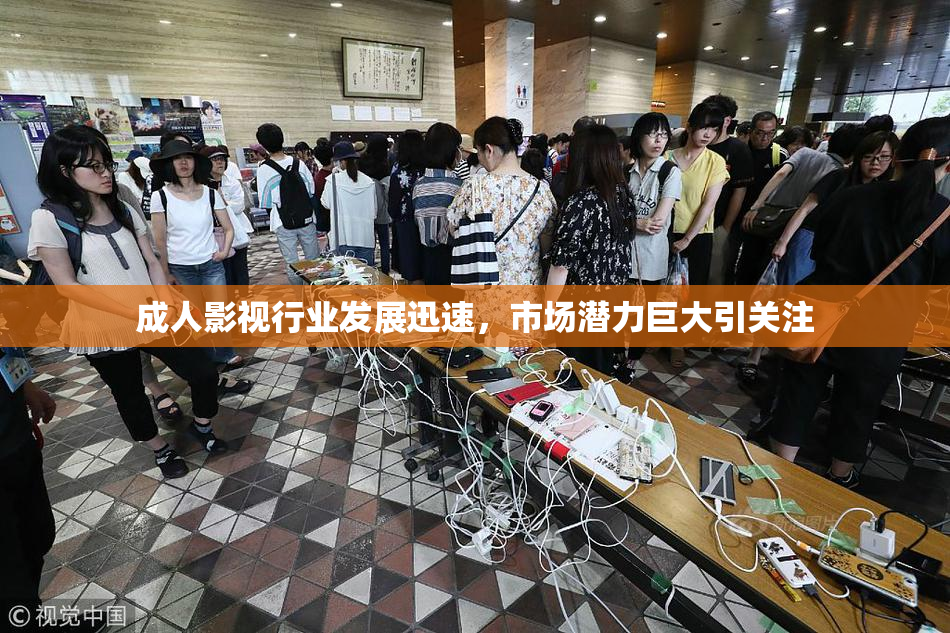 成人影视行业发展迅速，市场潜力巨大引关注