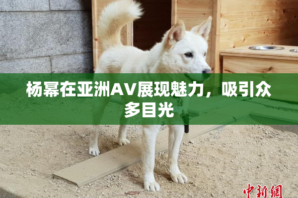 杨幂在亚洲AV展现魅力，吸引众多目光