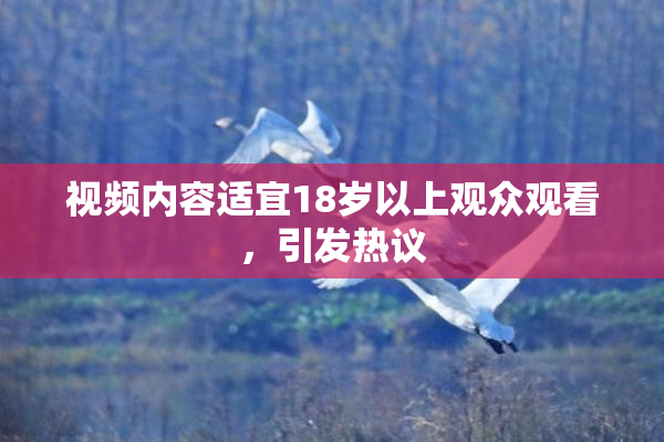 视频内容适宜18岁以上观众观看，引发热议