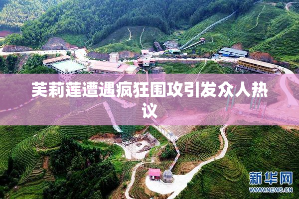 芙莉莲遭遇疯狂围攻引发众人热议