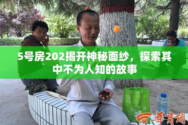 5号房202揭开神秘面纱，探索其中不为人知的故事