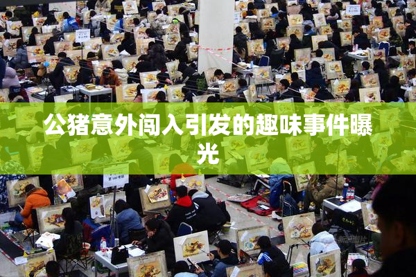 公猪意外闯入引发的趣味事件曝光