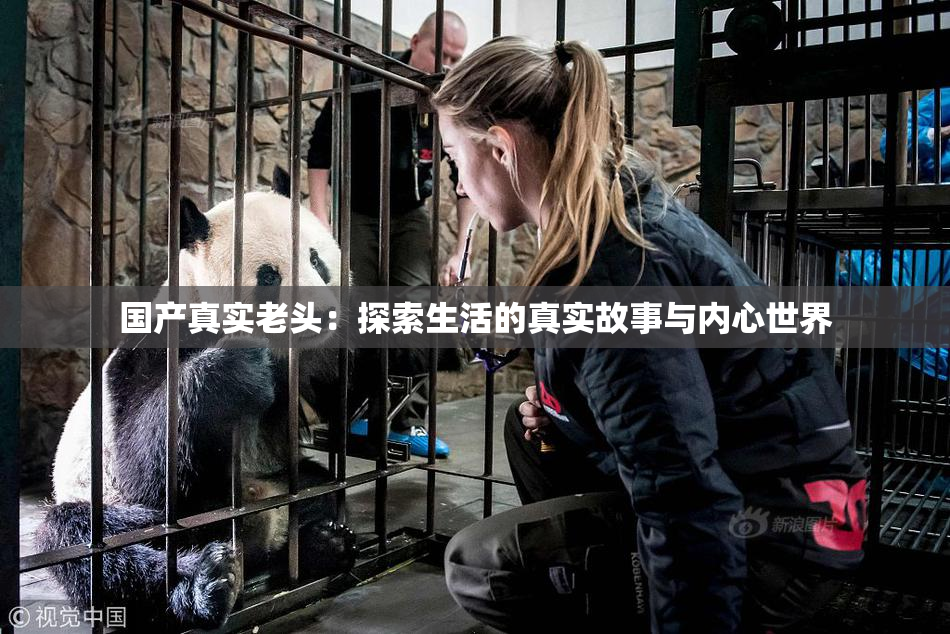 国产真实老头：探索生活的真实故事与内心世界