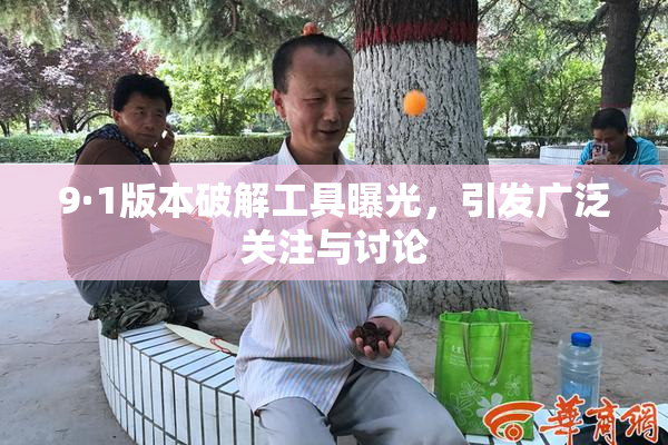 9·1版本破解工具曝光，引发广泛关注与讨论