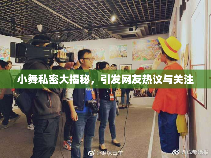 小舞私密大揭秘，引发网友热议与关注
