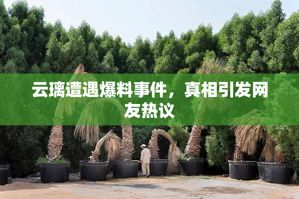 云璃遭遇爆料事件，真相引发网友热议
