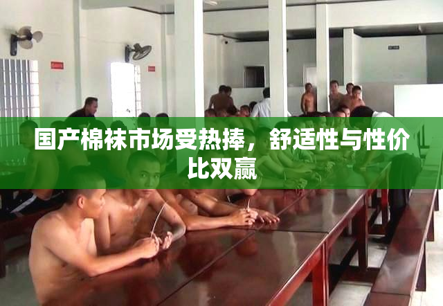 国产棉袜市场受热捧，舒适性与性价比双赢