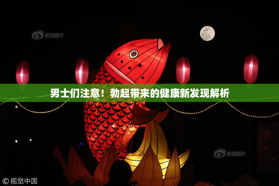 男士们注意！勃起带来的健康新发现解析