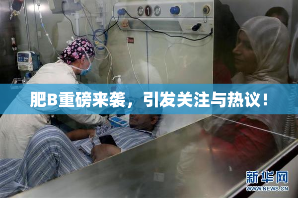 肥B重磅来袭，引发关注与热议！