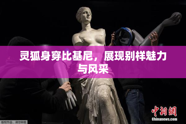灵狐身穿比基尼，展现别样魅力与风采