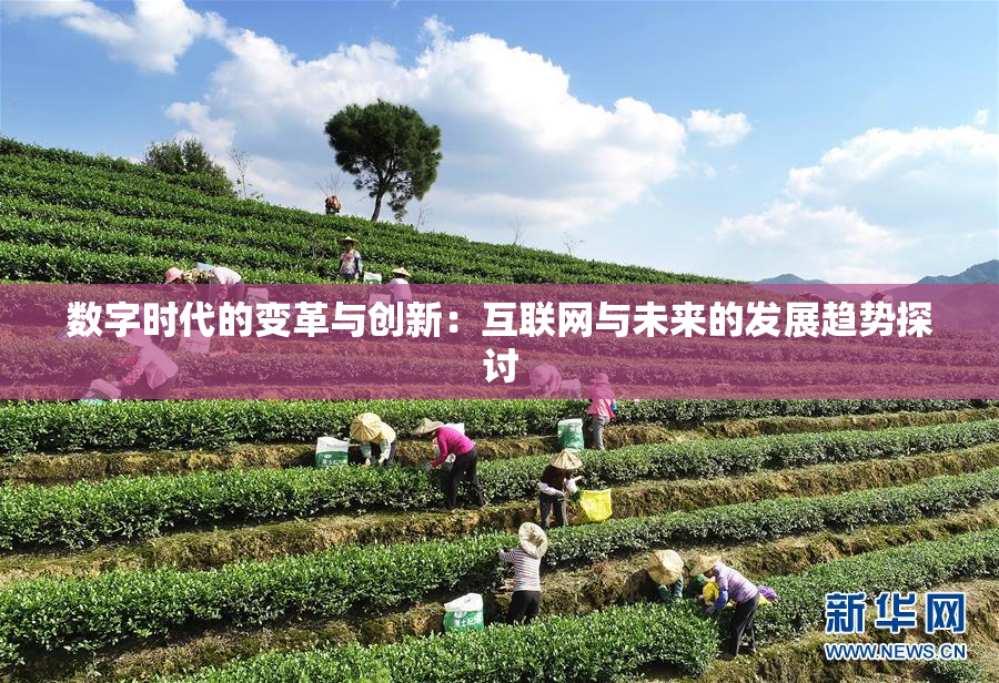 数字时代的变革与创新：互联网与未来的发展趋势探讨