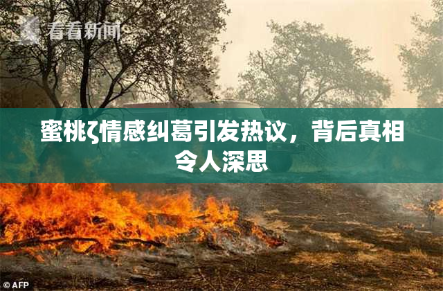 蜜桃ζ情感纠葛引发热议，背后真相令人深思