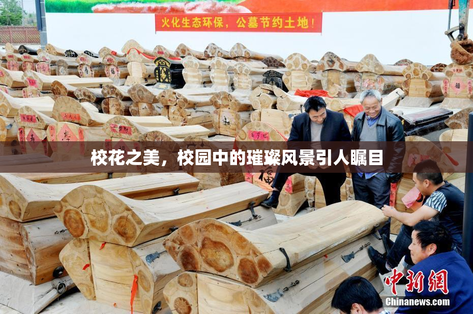 校花之美，校园中的璀璨风景引人瞩目